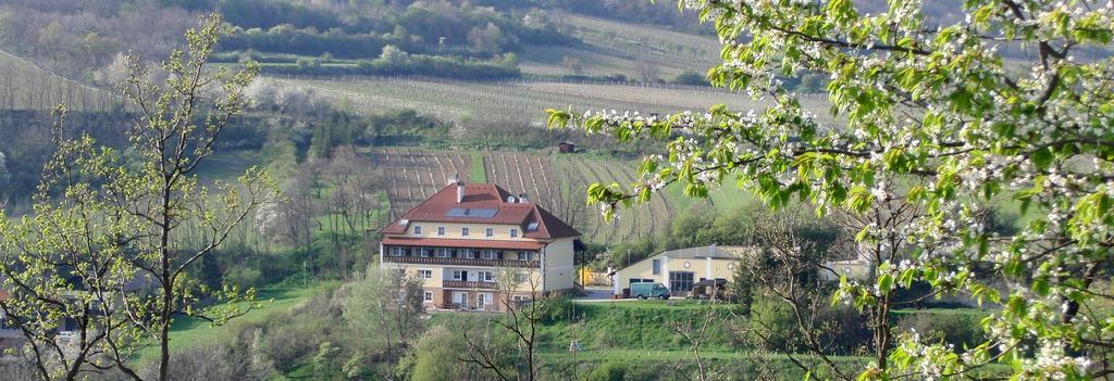 Pension Rudi - Weingut Kellner Hotel Pulkau Bagian luar foto