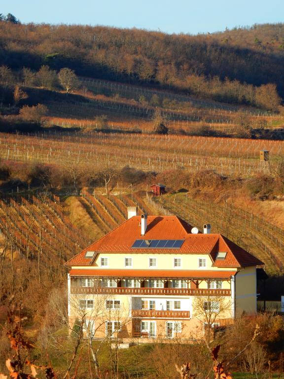 Pension Rudi - Weingut Kellner Hotel Pulkau Bagian luar foto