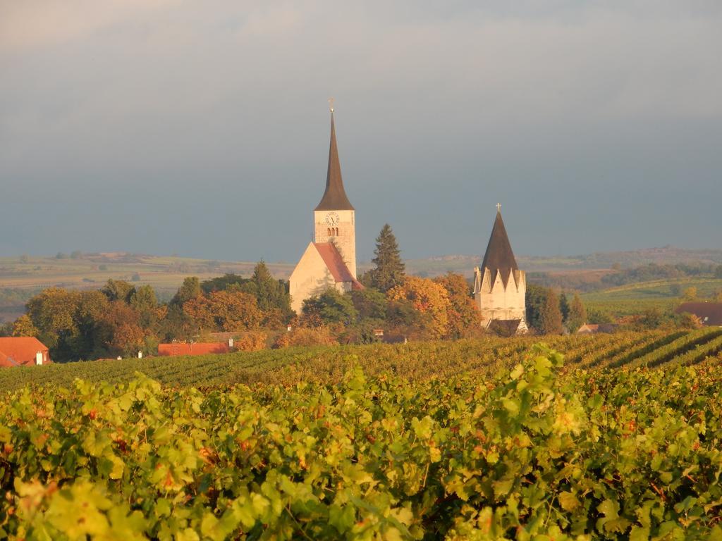 Pension Rudi - Weingut Kellner Hotel Pulkau Bagian luar foto