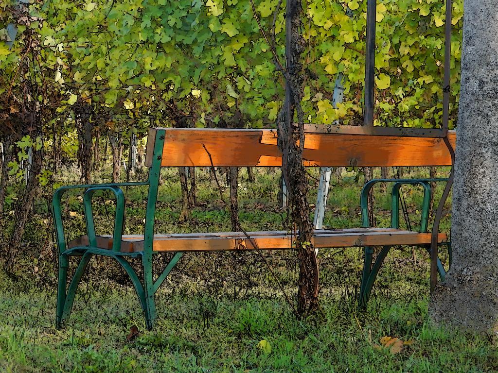Pension Rudi - Weingut Kellner Hotel Pulkau Bagian luar foto
