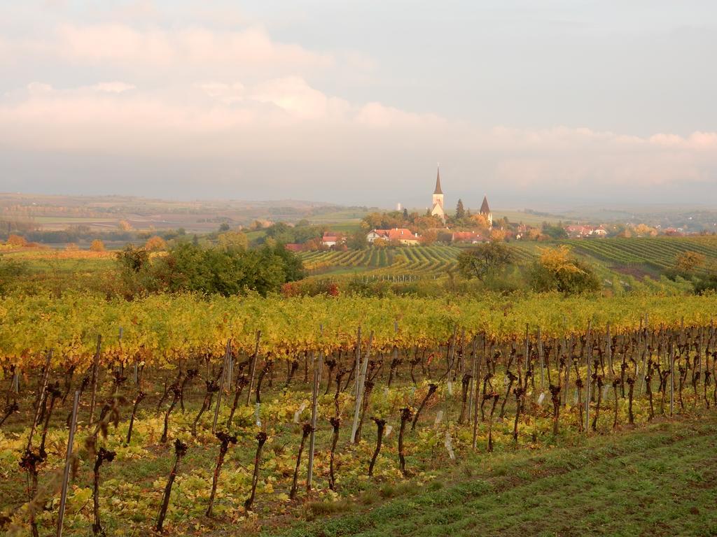 Pension Rudi - Weingut Kellner Hotel Pulkau Bagian luar foto